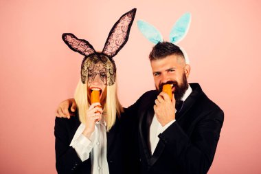 Paskalya kaç bahar tatil için hazır. Paskalya komik tavşan tavşan gibi havuç nibbles. Mutlu bahar tatil ve yumurta. Hoş bir çift tavşan kulakları giyiyor.