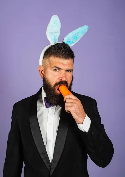Wielkanocny królik gryzie marchewkę jak zając. Zdrowy człowiek na wakacjach. Wielkanocna przestrzeń. Szczęśliwej Wielkanocy. Biznes zabawny człowiek. — Zdjęcie stockowe