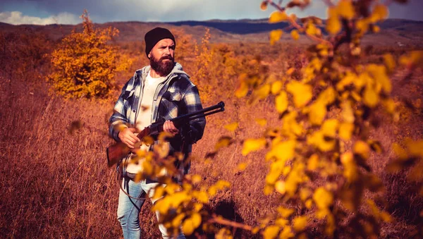 Jesienią sezonu łowieckiego. Hunter z pistolet shotgun na polowanie. Autunm polowanie. Jesienią. Big game. — Zdjęcie stockowe