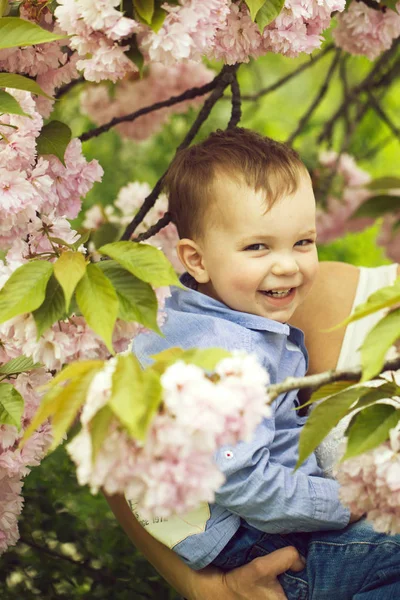 Bonito menino feliz sorrindo nos braços das mães entre flores florescentes — Fotografia de Stock