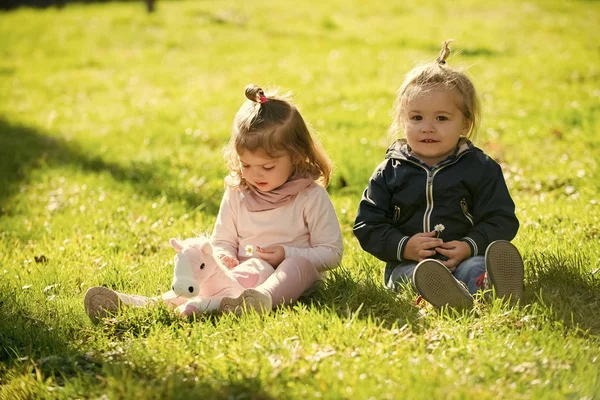 Bror och syster spela med leksak häst på solig dag — Stockfoto