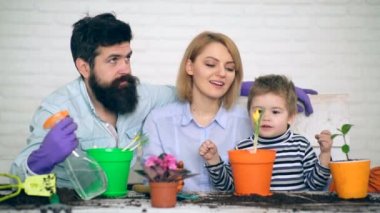 Aile zaman dikim çiçekler içinde yaz geçirmek mutludur. Küçük bahçıvan. Fidan kavramı.