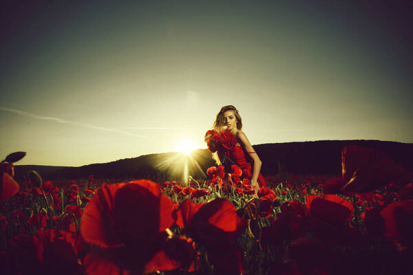 Girl with long curly hair in red dress and black boots hold flower bouquet in field of poppy seed with green stem on blue sky background, summer, drug and love intoxication, opium