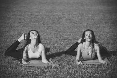 Spor, yoga, pilates, eğitim, egzersiz