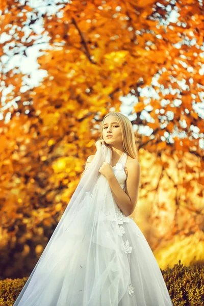 Bella sposa autunnale — Foto Stock