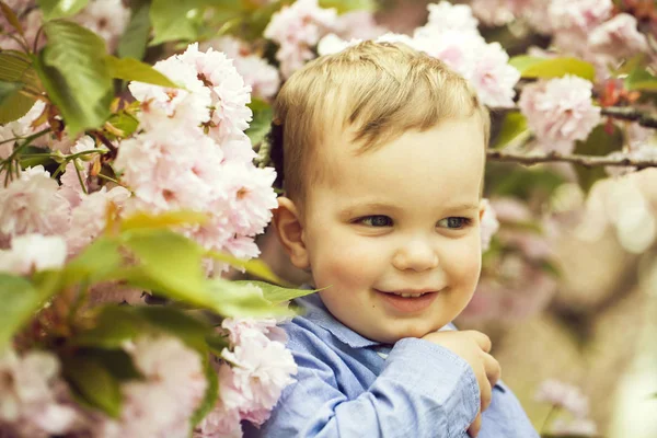 Χαριτωμένο μωρό αγόρι μεταξύ ροζ λουλούδια που ανθίζουν — Φωτογραφία Αρχείου