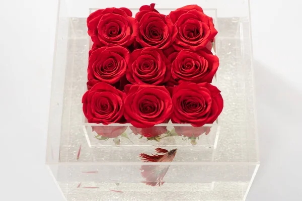 red rose bouquet in box. Aquarium with fish and roses. Flower shop. Floral design. Love and passion. Valentines day present. They are as beautiful as you