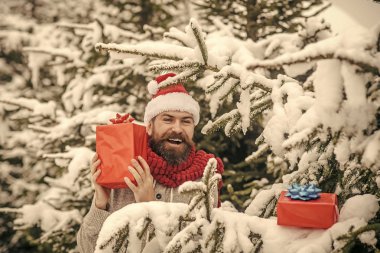 Boks günü, parti kutlama.