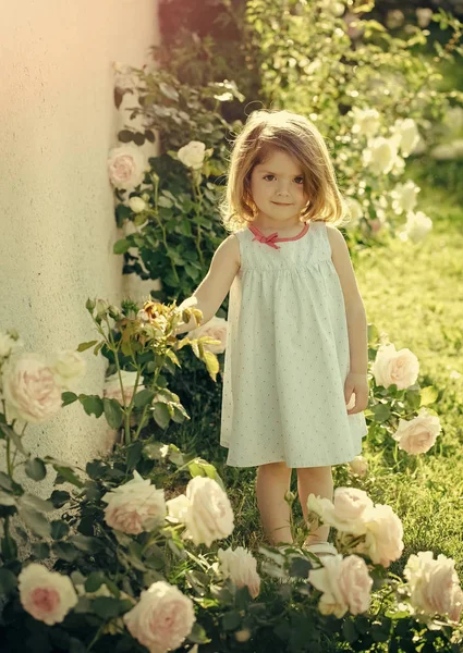 Niña con linda sonrisa de pie en flor flores de rosas —  Fotos de Stock