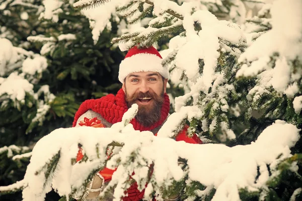 Natal homem feliz com barba segurar caixa de presente . — Fotografia de Stock