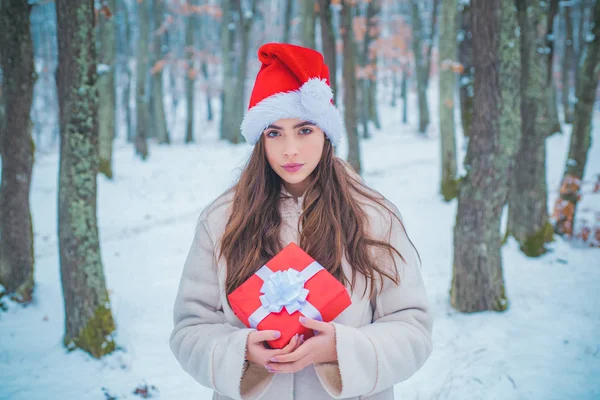 Portrait of a beautiful woman dressed a coat. Beauty Winter Girl in frosty winter Park. Vintage winter person. Enjoying nature wintertime.