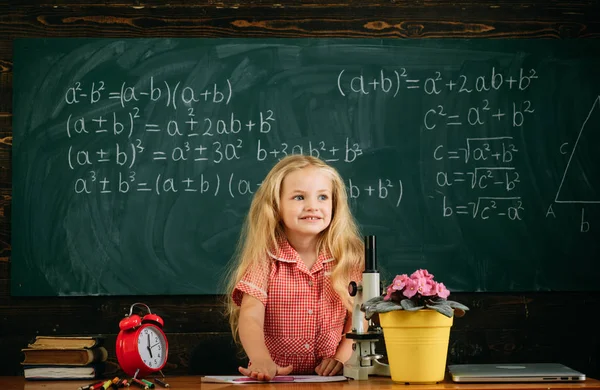 Kislány van tanulság a tanterem Palatábla. Általános iskolás gyermek osztályteremben — Stock Fotó