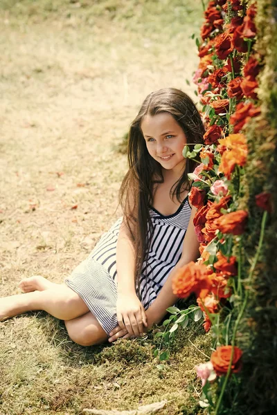 Decoración floral y niño pequeño con rosas . —  Fotos de Stock