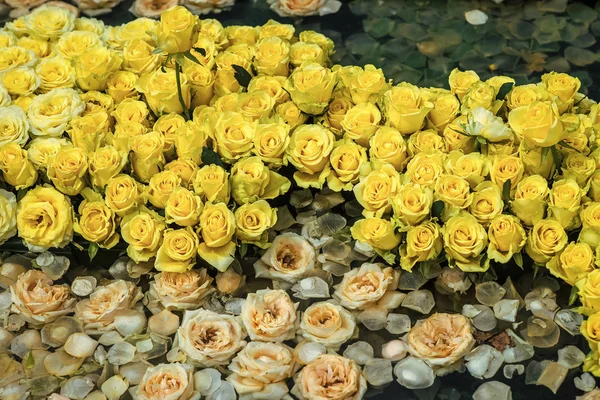 Composición del spa con pétalos de flores — Foto de Stock