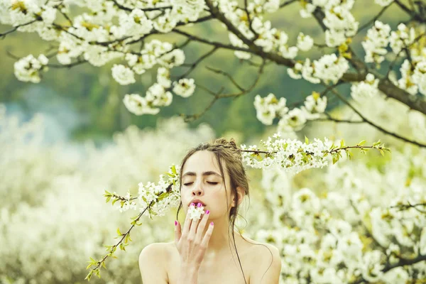 Vårblomma i cherry trädgård med vacker ung flicka — Stockfoto