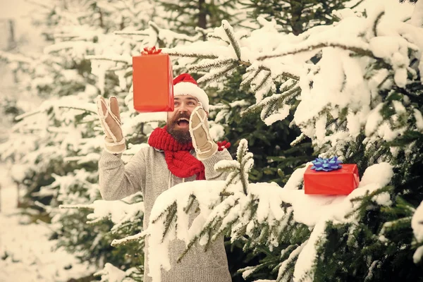 Hipster santa na árvore de Natal na floresta de inverno nevado . — Fotografia de Stock