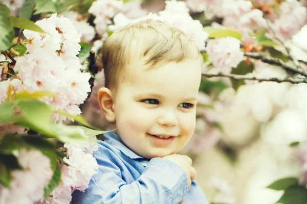 Menino bonito entre flores rosa florescentes — Fotografia de Stock