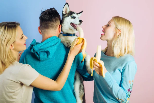 Fornecendo-lhe vitaminas e minerais diferentes. As amas alimentam o animal de estimação. Mulheres felizes e homens brincam com animais de estimação da família. Grupo de amigos com raça cão de raça pura. Família feliz se divertir com cão husky — Fotografia de Stock