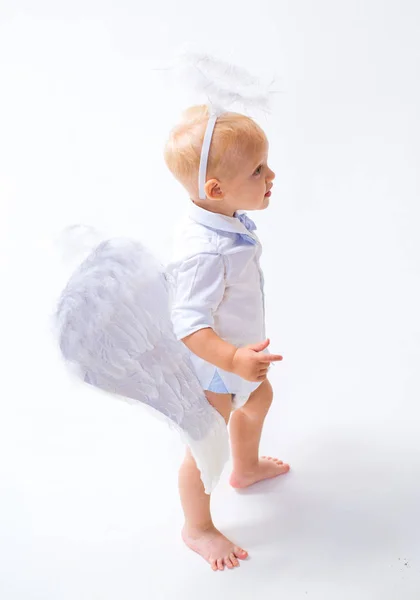 等待奇迹。可爱的丘比特或小天使宝宝的情人节礼物。小天使可爱的小天使男孩。天使的翅膀和光环的小男孩。圣诞天使圣诞晚会庆祝活动 — 图库照片