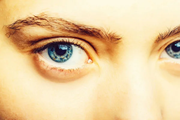 蓝色的眼睛和眉毛 — 图库照片