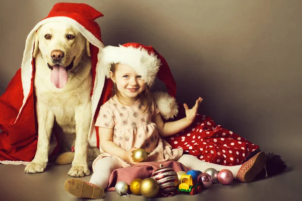 Christmas little girl with labrador dog — Stock Photo, Image