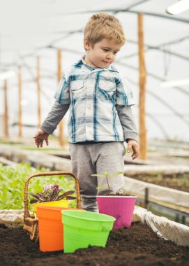 Tarım. Tarım sera, küçük çocuk adet eser bulunmaktadır. Tarım işçisi sanayi. tarım iş sahip