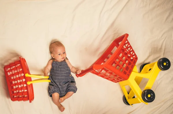 Little shopper. Childhood happiness. Big sale offer. Portrait of happy little child. Small girl go shopping. Sweet little baby. New life and birth. Shopping cart. Householder. Family. Child care