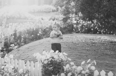 Çizgili tshirt, şort açık erkek bebek