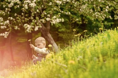 Sağlıklı açık hava etkinliği