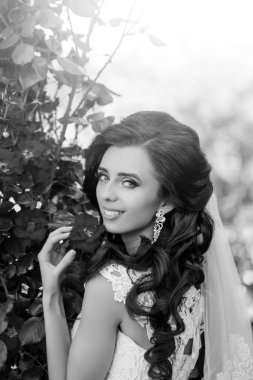 Düğün tatil kutlaması.