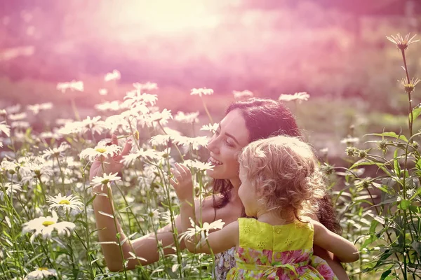 Vacanze estive, natura, bellezza — Foto Stock