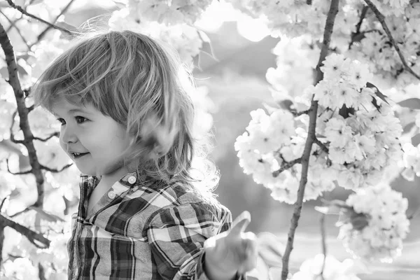 Liten pojke i blossom — Stockfoto