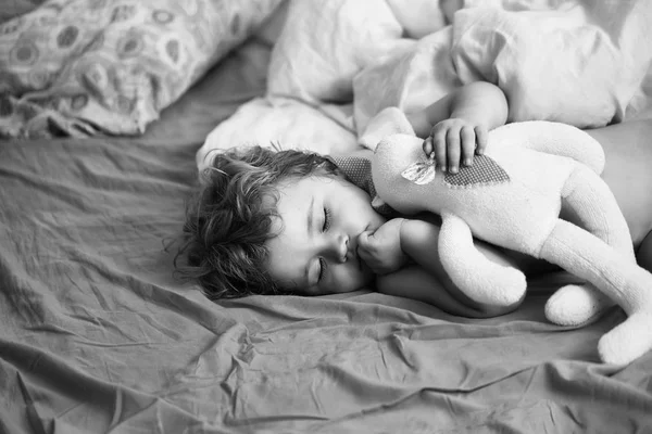 Bonito menino dorme — Fotografia de Stock