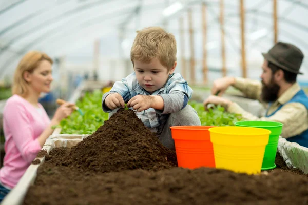 将来の生活。将来の人生の成長します。将来の生活のコンセプトです。少年の小さな農家の将来の生活. — ストック写真