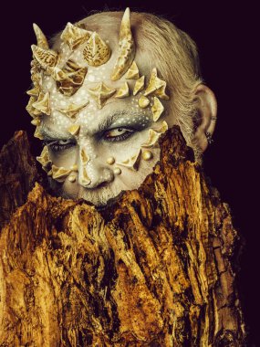 Ağaç ruhu ve fantezi kavramı