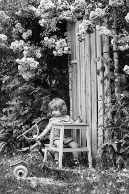 küçük çocuk gül bush yeme