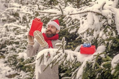 Mutlu tatil ve xmas.