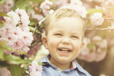 Şirin bebek çocuk arasında pembe çiçek çiçekler