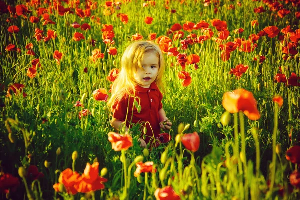 Поле квітки з дитиною або маленьким хлопчиком — стокове фото