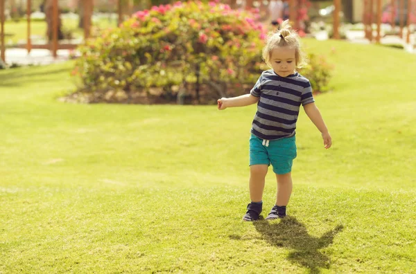 Cute baby boy playing on green grass — Stock Photo, Image