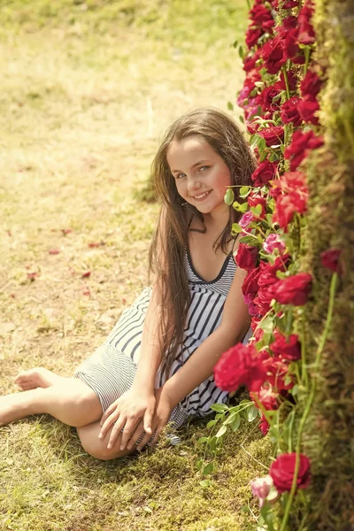 Ημέρα του Αγίου Βαλεντίνου, μικρό κορίτσι, αγάπη, ειδύλλιο, λουλούδια, τριαντάφυλλα, floral διακόσμηση — Φωτογραφία Αρχείου