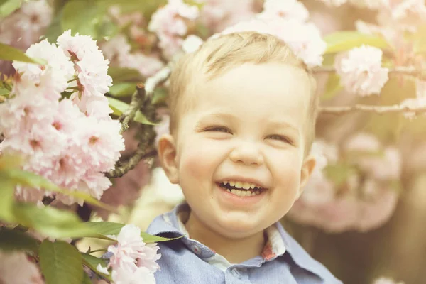 Söt baby pojke bland rosa blommande blommor — Stockfoto