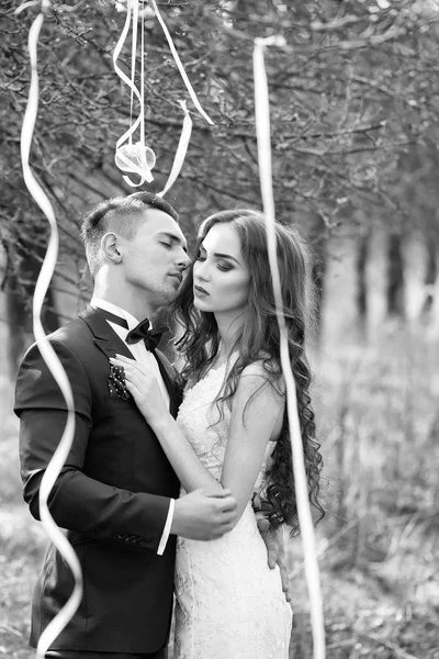 Wedding couple and ribbons on tree — Stock Photo, Image