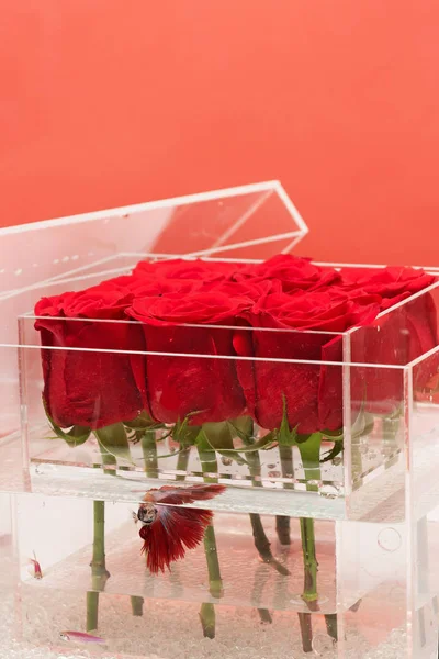 Valentines day present. Love and passion. Aquarium with fish and roses. Flower shop. red rose bouquet in box. Floral design. I love roses. be my valentine