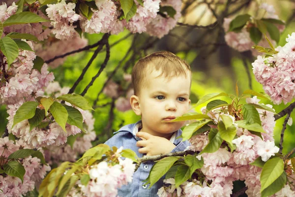 Schattige babyjongen onder roze bloeiende bloemen — Stockfoto