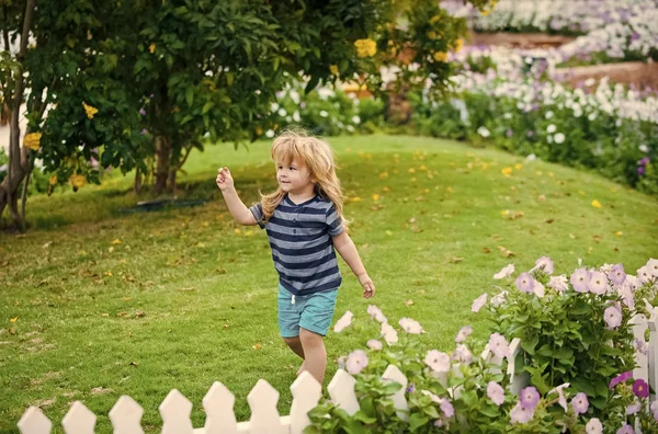 Junge oder kleines Kind im Freien in der Nähe von weißem Holzzaun — Stockfoto