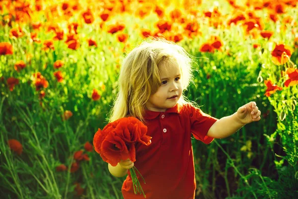 Piccolo ragazzo o bambino nel campo dei semi di papavero — Foto Stock