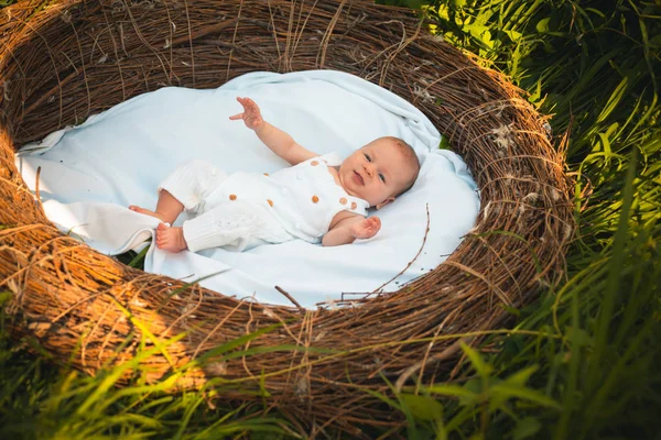 Daglig vård för små nyfödda. Nyfödd baby dagliga rutin. Litet barnhälsovård. Matning, lek och sömn — Stockfoto