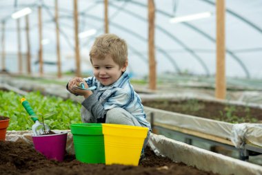 çevre koruma. çevre koruma kavramı. çevre concervation. çevre koruma ve ekoloji koruma. bitkilerin bakımı.