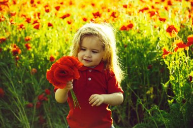 sıcak yaz aylarında haşhaş sahada şirin küçük çocuk